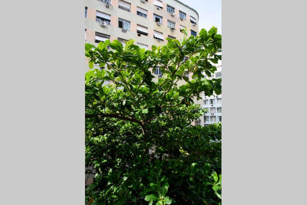 Copacabana Rjc40607 *
