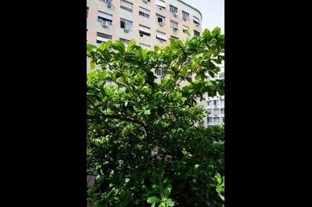 Copacabana Rjc40607 Apartamento *